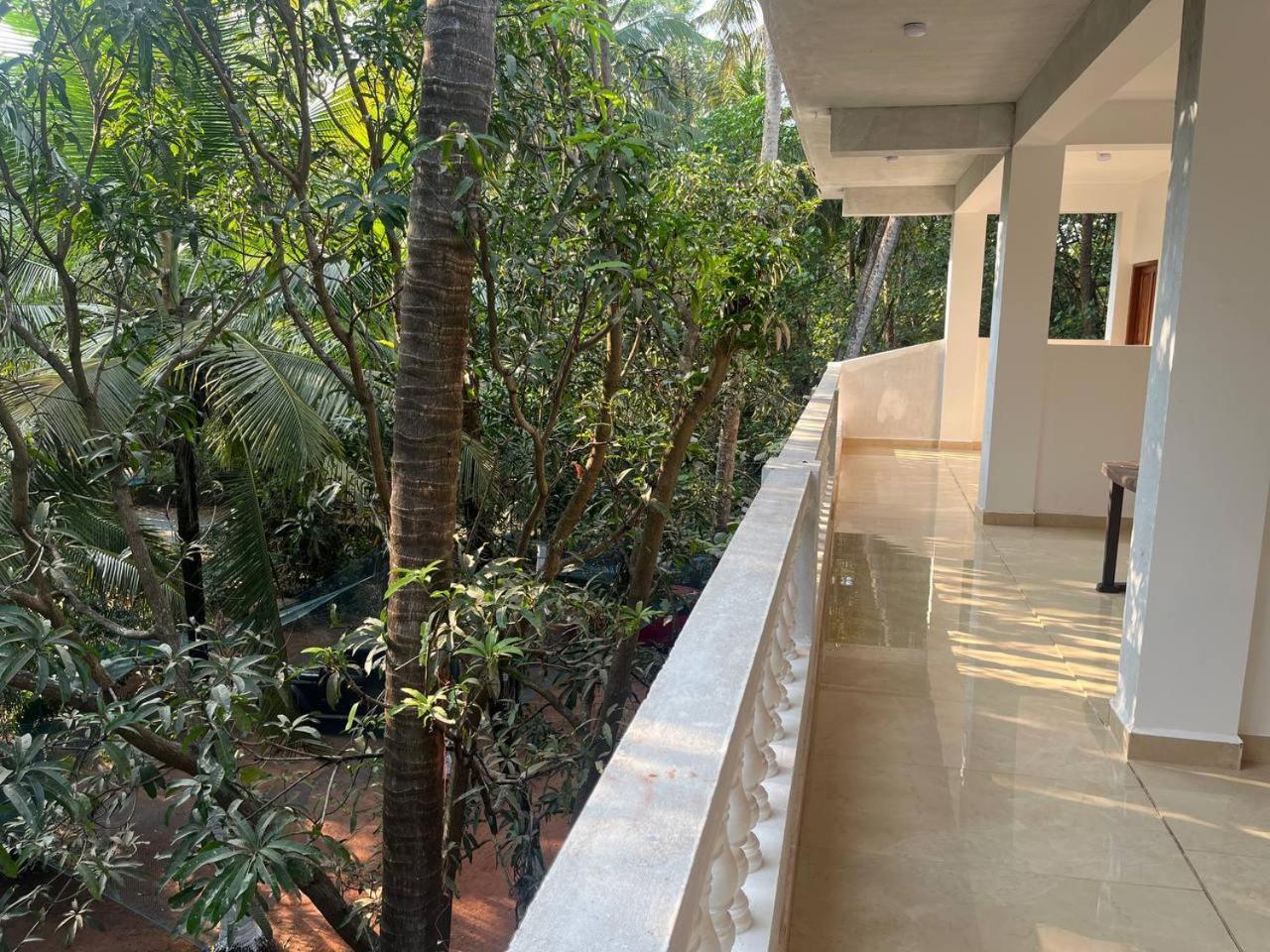 Tender Coconut Morjim Exterior photo